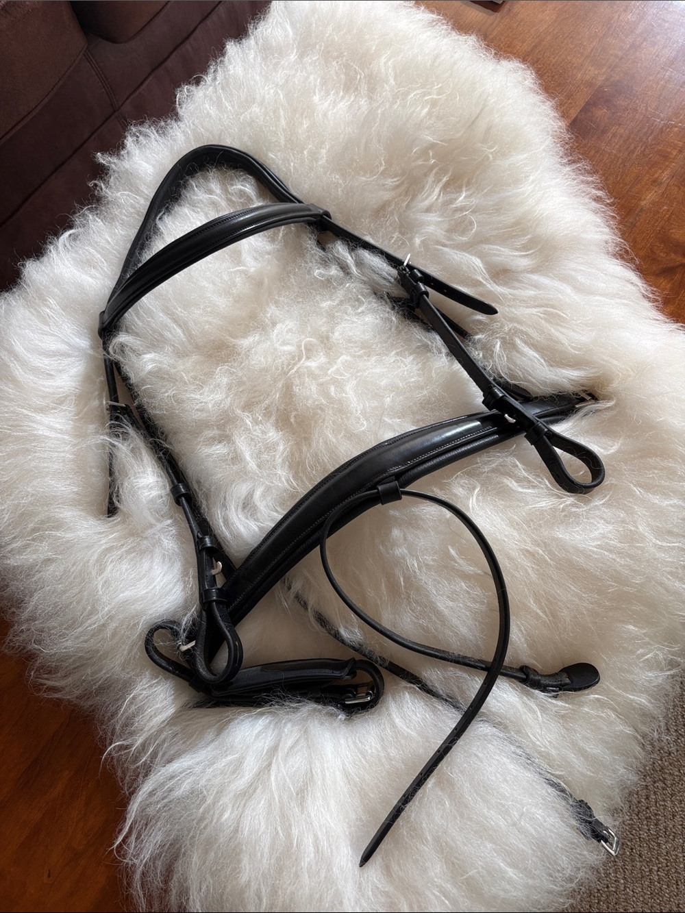 Black Leather Dressage Con Small Horse Bridle